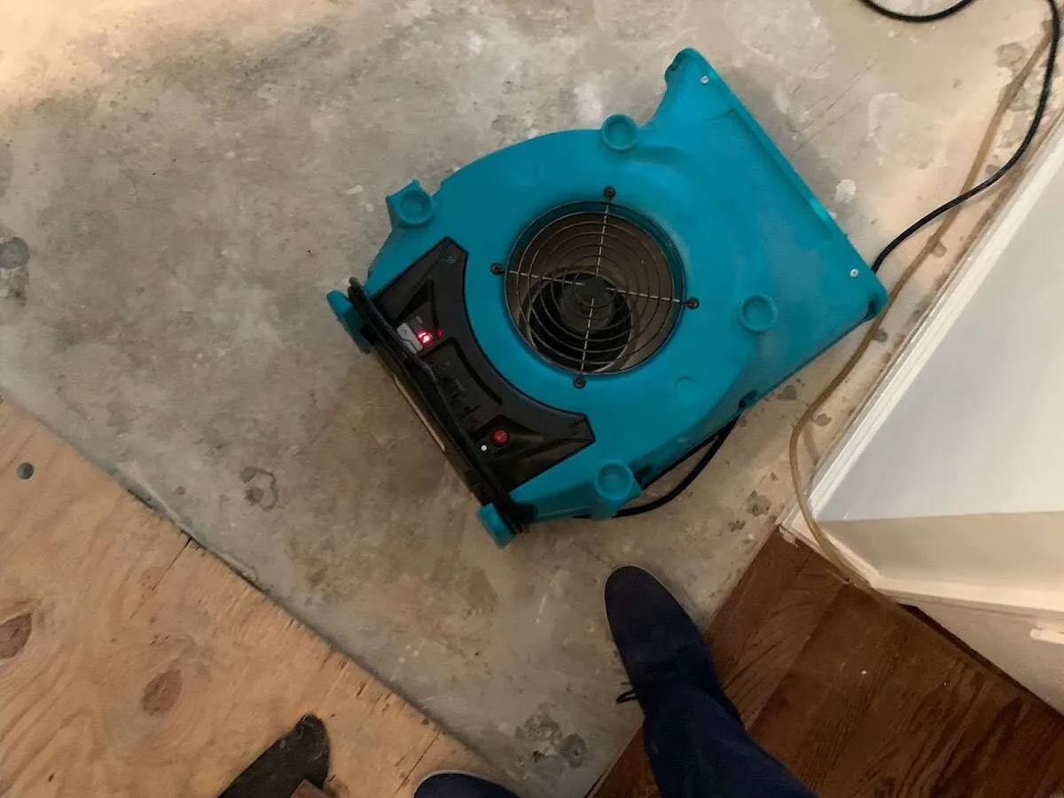Air mover drying subfloor during Leak Detection & Repair in Athens